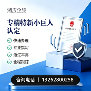 包头专精特新小巨人申报服务