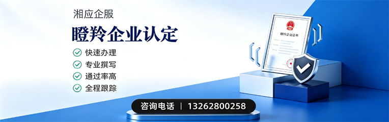 包头瞪羚企业认定申报服务