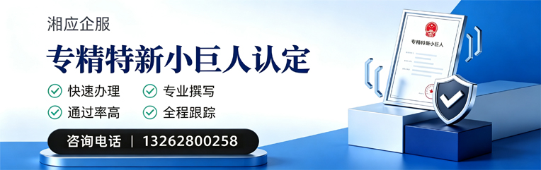 包头专精特新小巨人申报服务